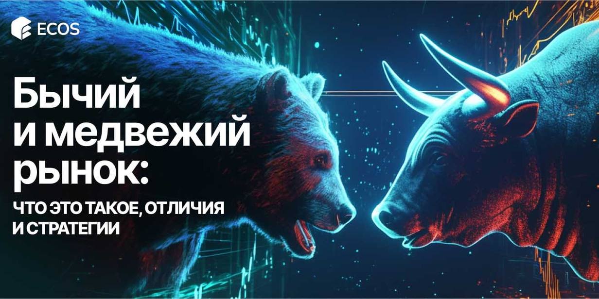 Что такое бычий и медвежий рынок: простое объяснение для начинающих инвесторов