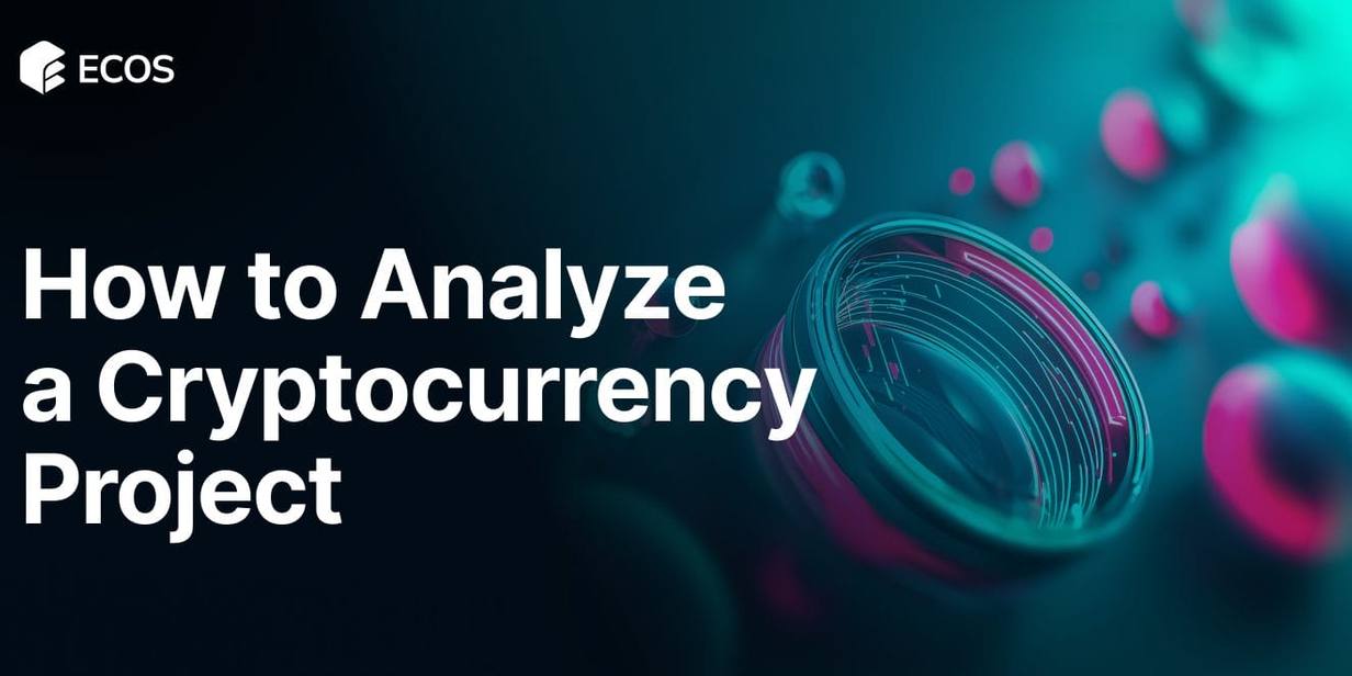 Analyze Cryptocurrency Project: Step-by-Step Guide to Smart Research