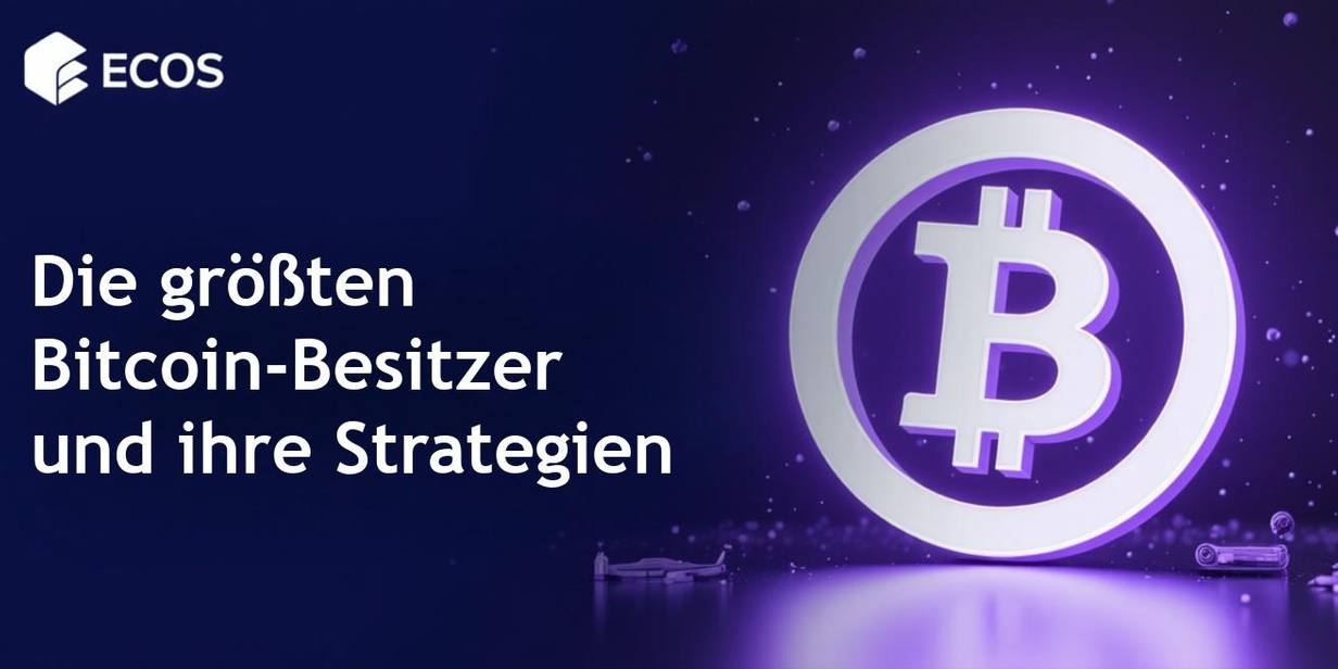 Größte Bitcoin-Besitzer: Unternehmen, Börsen, Staaten und Satoshi Nakamoto
