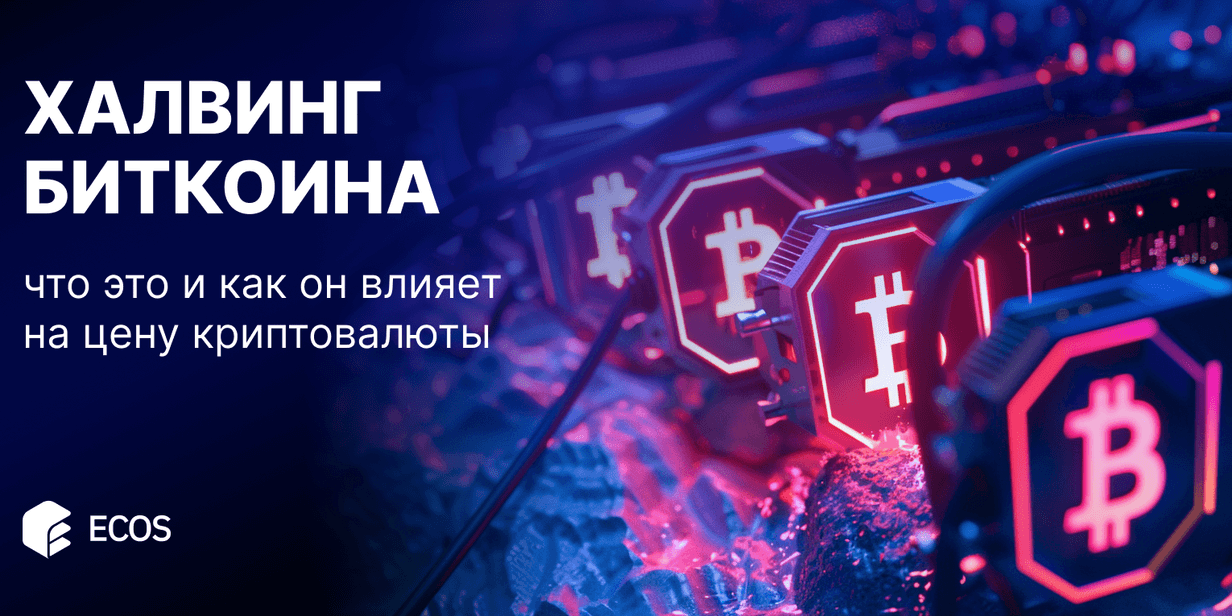 Халвинг биткоина: что это и как он влияет на цену криптовалюты?