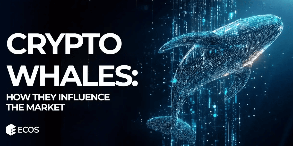 Crypto Whales: How They Influence the Market