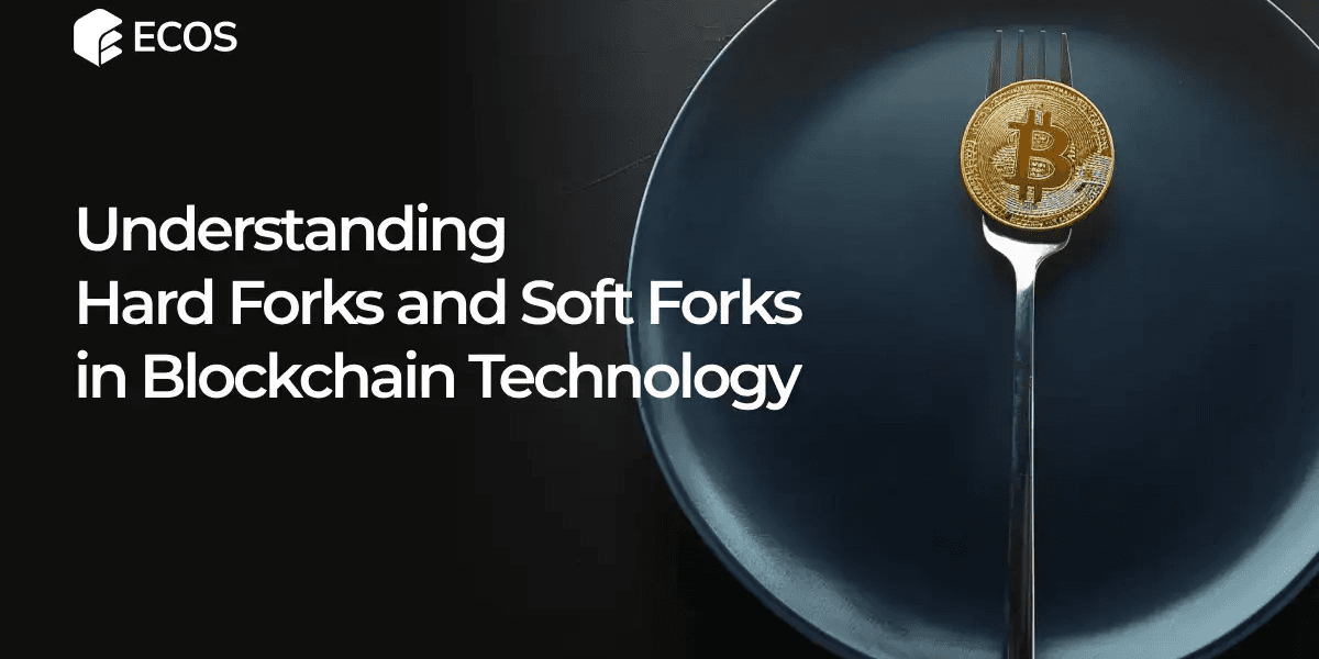 Understanding Hard Forks and Soft Forks in Blockchain Technology