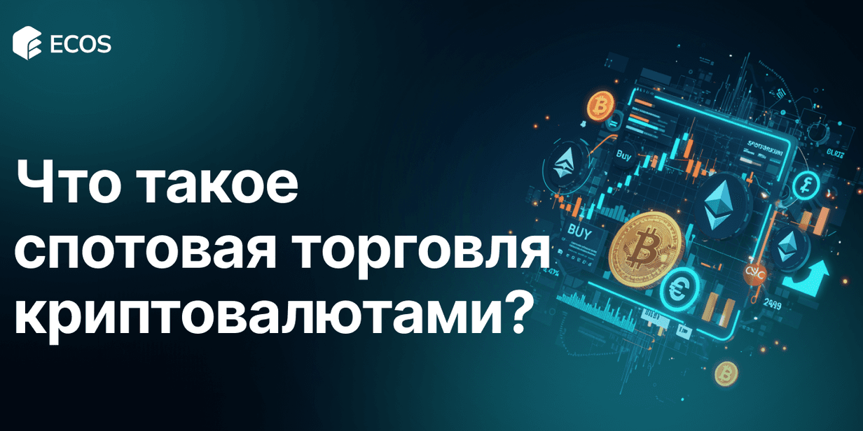 Спотовая торговля криптовалютами: полное руководство для новичков