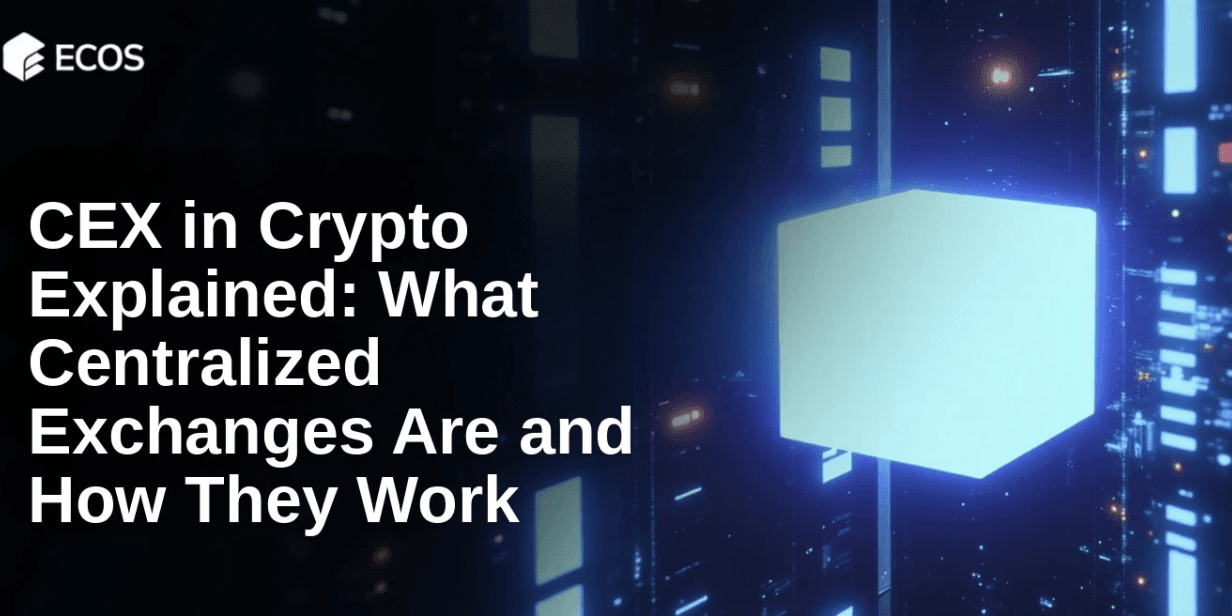 CEX in Crypto Explained: What Centralized Exchanges Are and How They Work