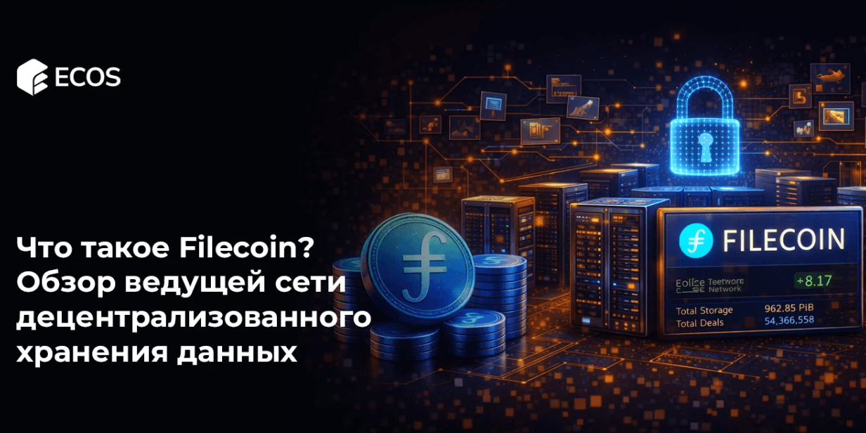 Что такое Filecoin? Обзор ведущей сети децентрализованного хранения данных