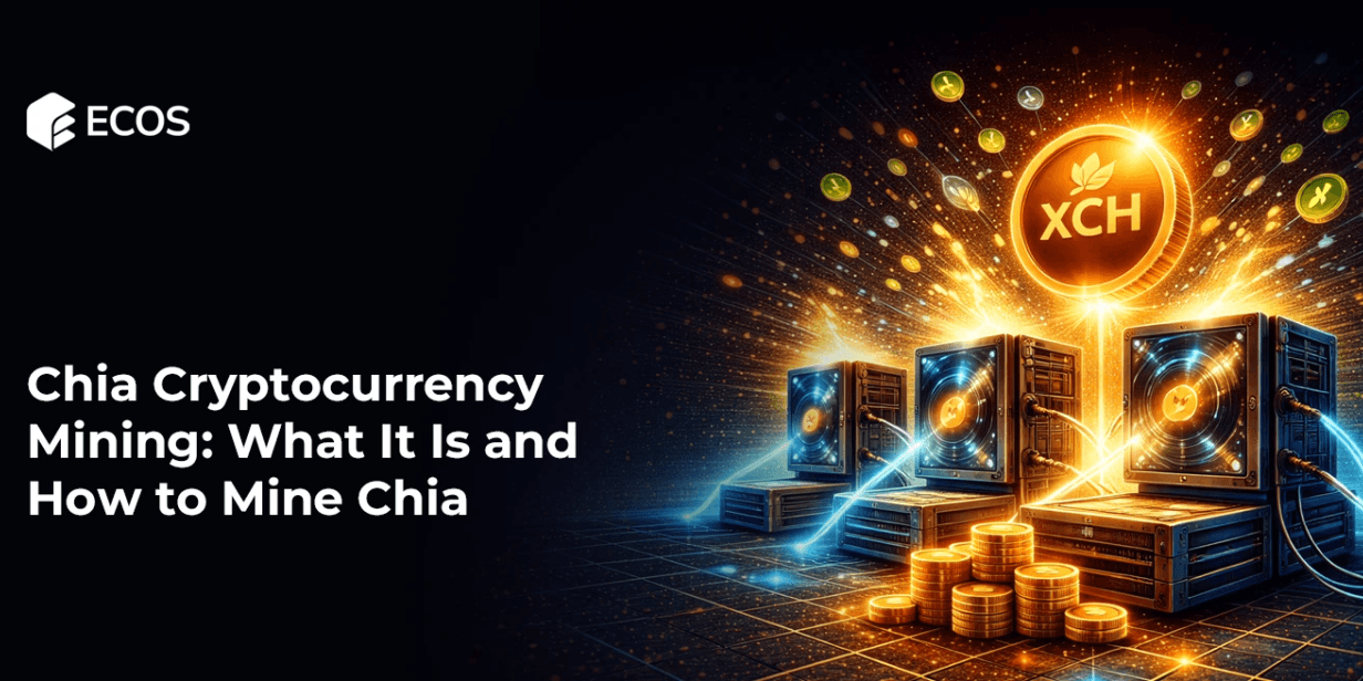 Chia Cryptocurrency Mining: What It Is and How to Mine Chia