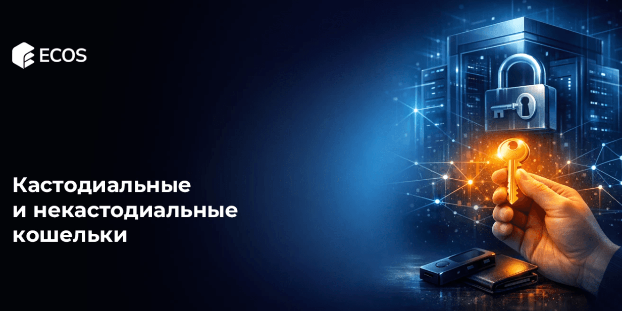 Кастодиальные и некастодиальные кошельки: подробное объяснение