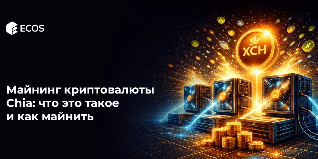 Майнинг криптовалюты Chia: что это такое и как майнить Chia