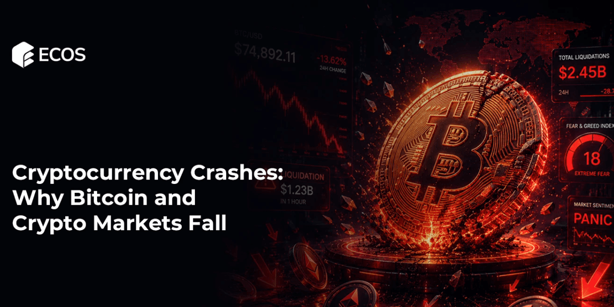 Cryptocurrency Crashes: Why Bitcoin and Crypto Markets Fall