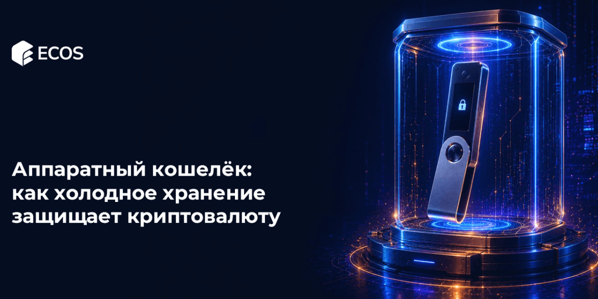 Аппаратный кошелёк: как холодное хранение защищает криптовалюту
