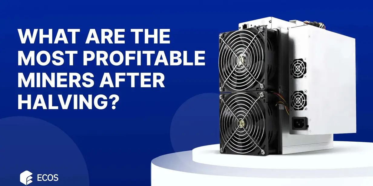 What are the most profitable BTC miners after Halving?