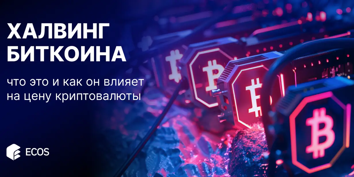 Халвинг биткоина: что это и как он влияет на цену криптовалюты?