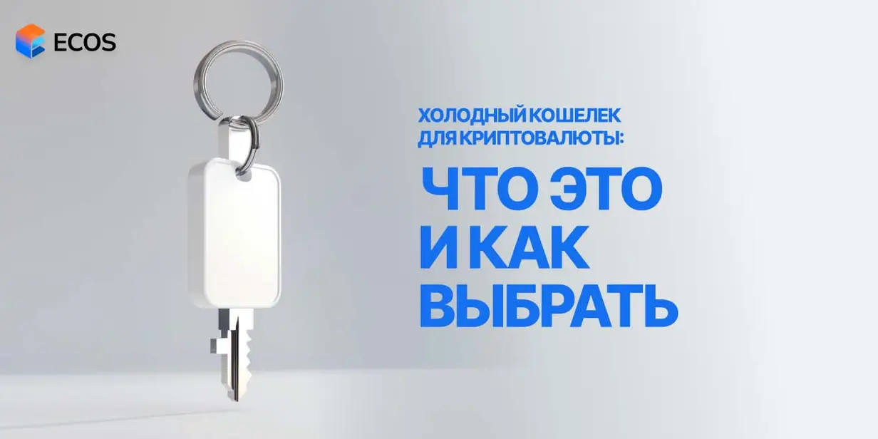 Холодный кошелек для криптовалюты: виды, бонусы и как выбрать
