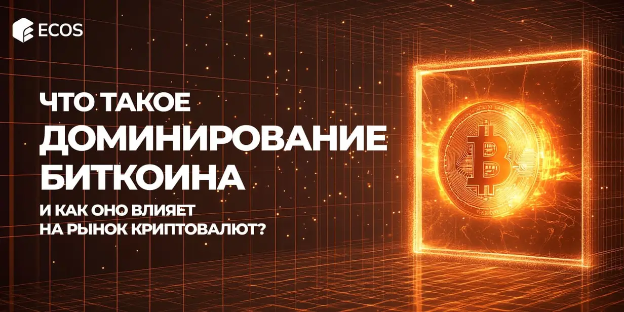Доминирование Биткоина: влияние на рынок. Как использовать индекс BTC