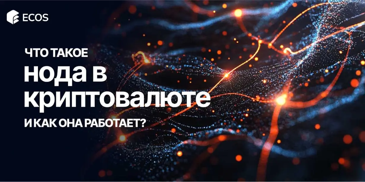 Ноды в криптовалюте: что это такое, как работают и зачем их запускать