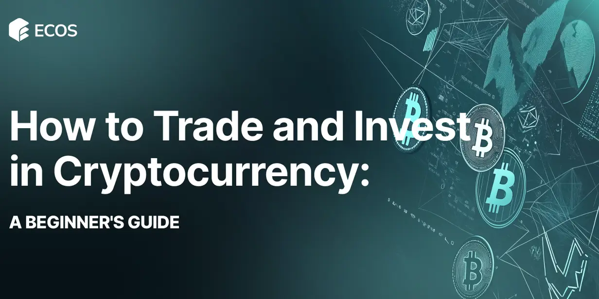 Bitcoin Cash (BCH): A Comprehensive Guide to How It Works, Benefits, and Future Prospects