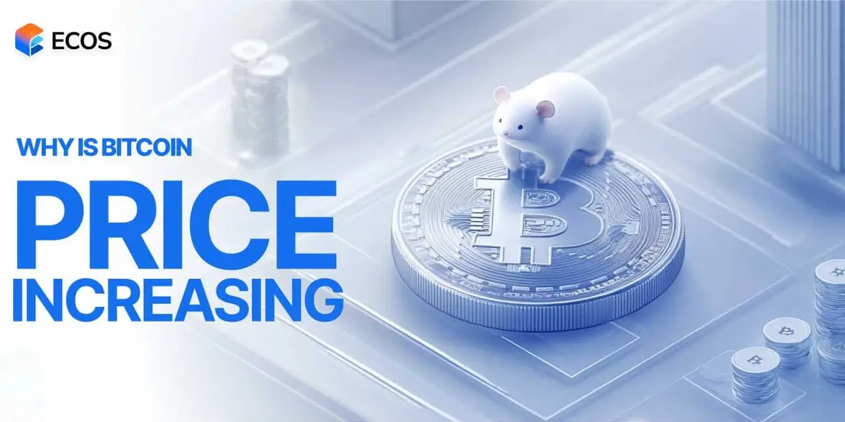 Why Is Bitcoin Going Up Today? Key Factors Driving Bitcoin’s Price in 2024