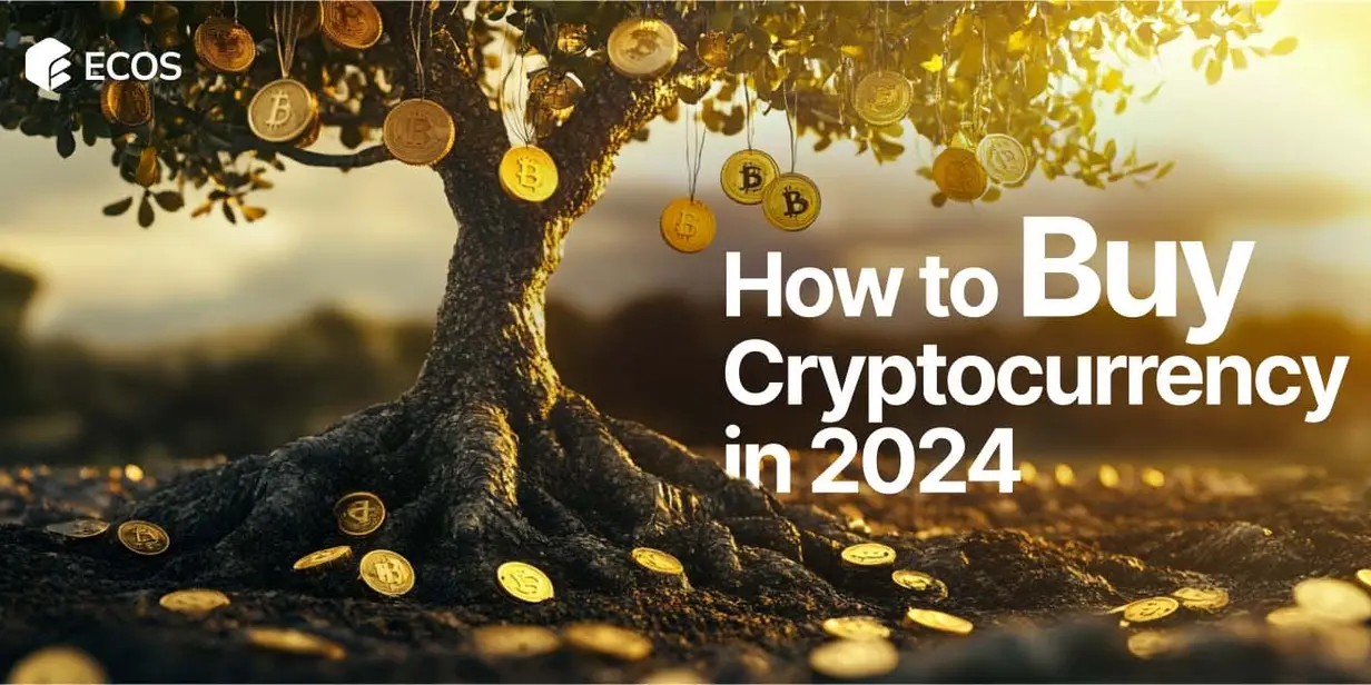 How to Buy Cryptocurrency: A Step-by-Step Guide for Beginners in 2024
