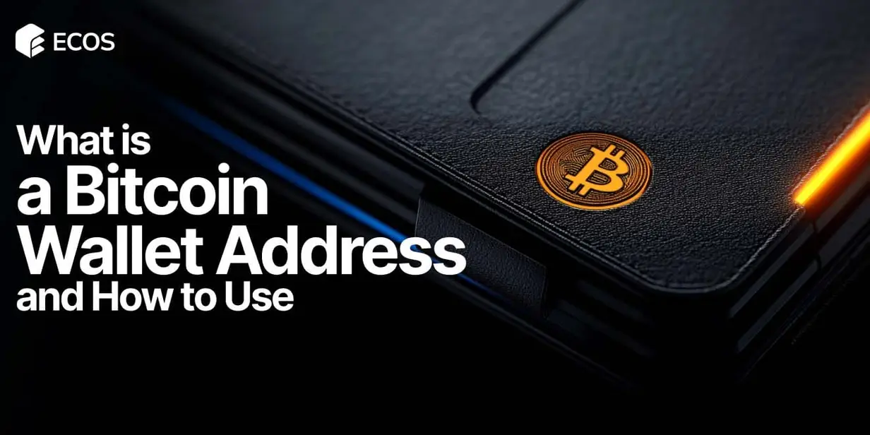 Bitcoin Wallet Address: Types, Creation, and Security Tips for Safe Transactions