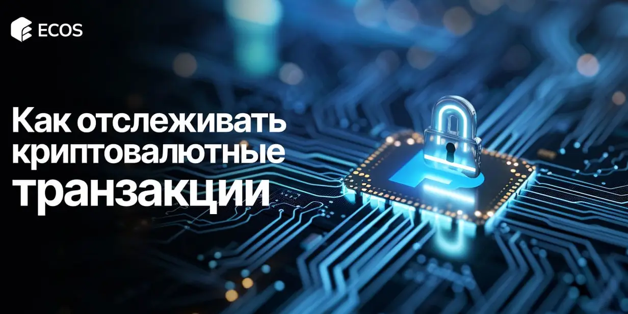 Как отслеживать криптовалютные транзакции — пошаговое руководство и топовые блокчейн-эксплореры