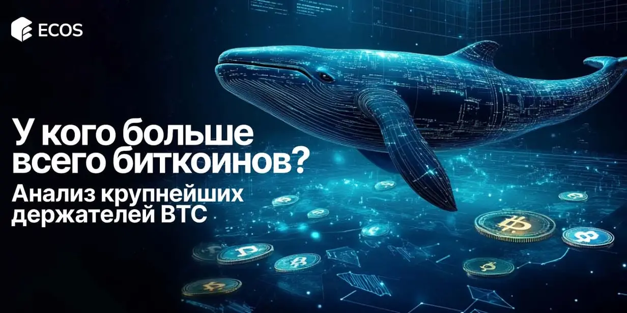 У кого больше всего биткоинов: компании, биржи, государства и Сатоши Накамото