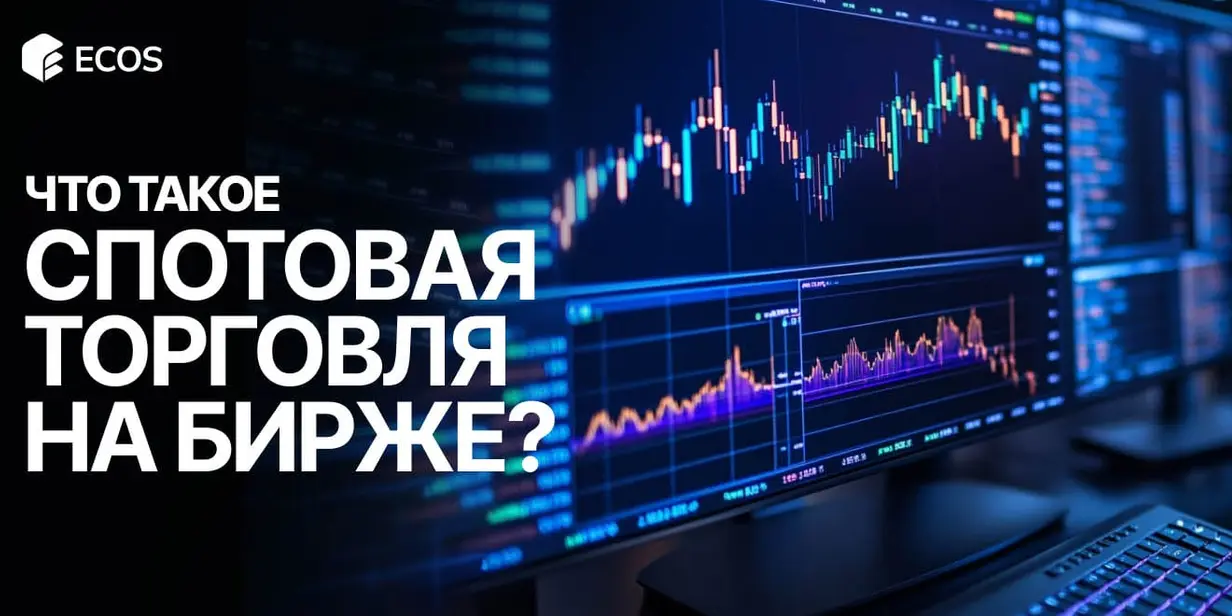 Спотовая торговля на бирже: принципы, преимущества и риски для новичков