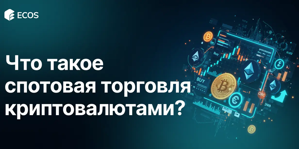 Спотовая торговля криптовалютами: полное руководство для новичков