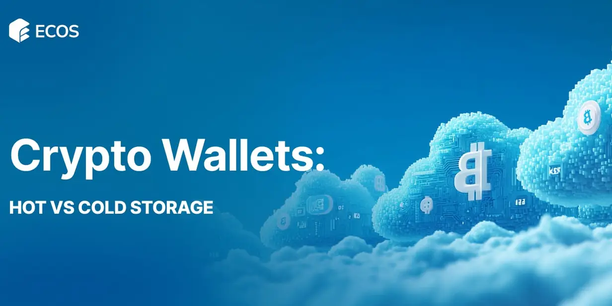 Crypto Wallet: What Is It and Which One Should You Use?
