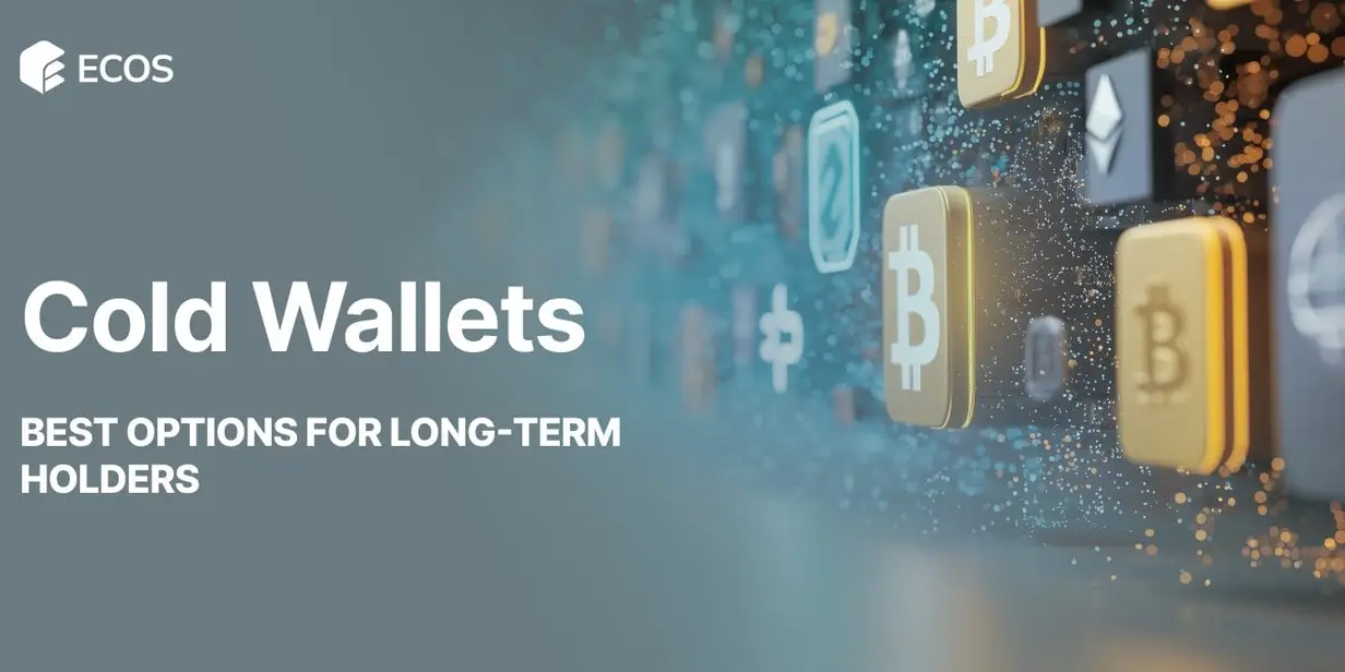 Best Cold Wallets: Top Picks for Long-Term Holders in 2025