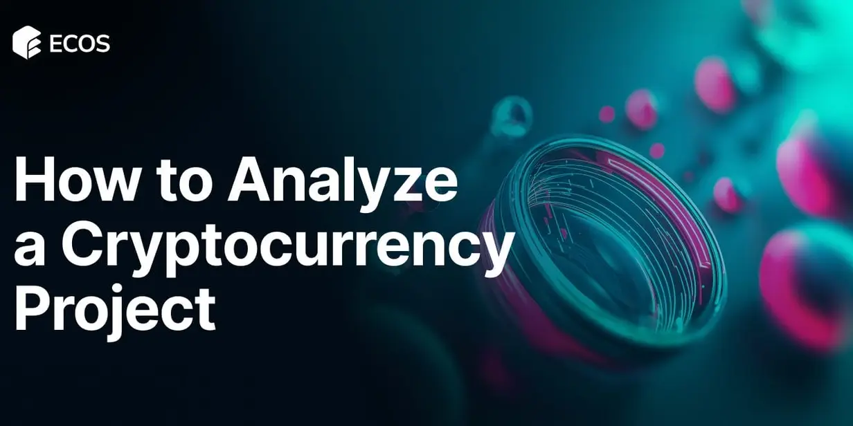 Analyze Cryptocurrency Project: Step-by-Step Guide to Smart Research