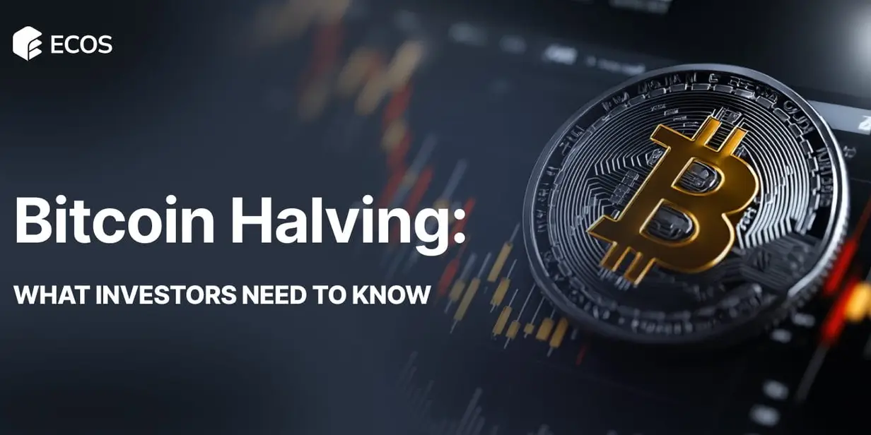 Bitcoin Halving Investors: What You Need to Know