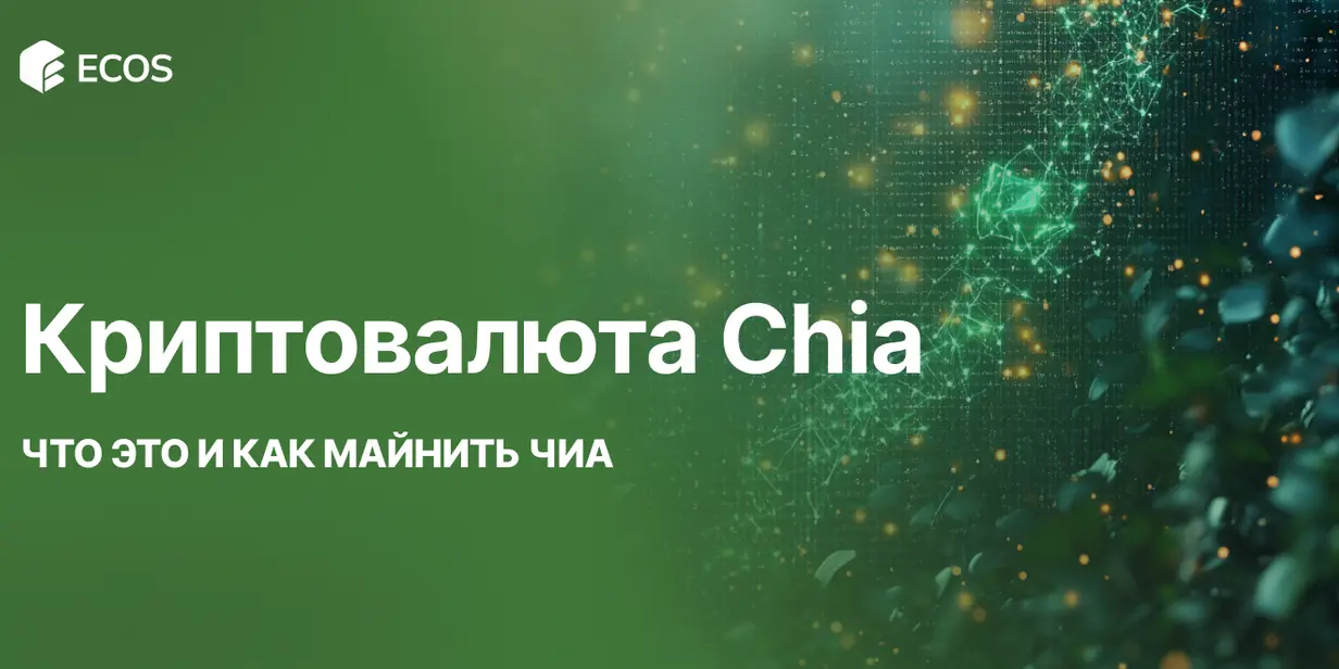 Криптовалюта Chia: Что Это и Как Майнить Чиа