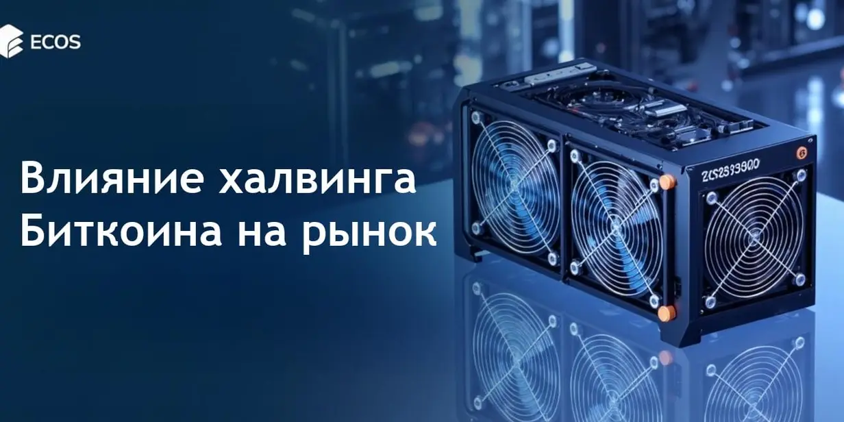 Халвинг Биткоина: что нужно знать инвесторам