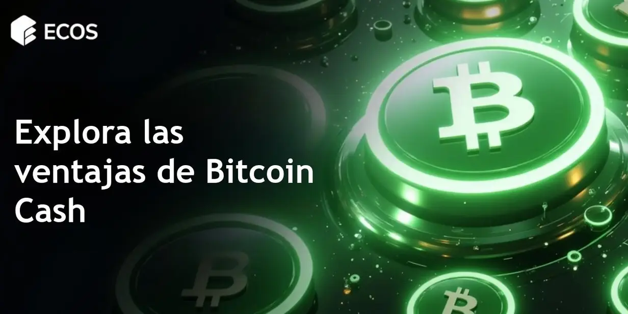 Bitcoin Cash: análisis detallado, ventajas y ejemplos de uso