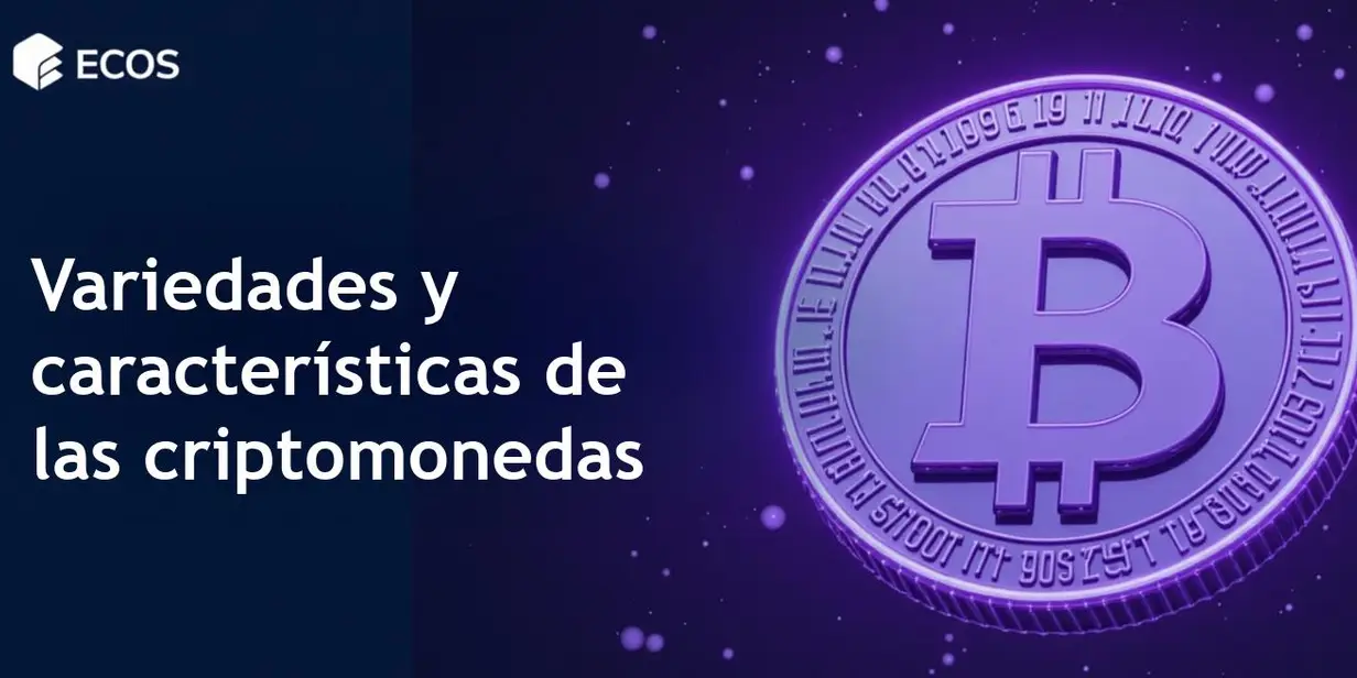 Tipos de criptomonedas: clasificación y ejemplos populares