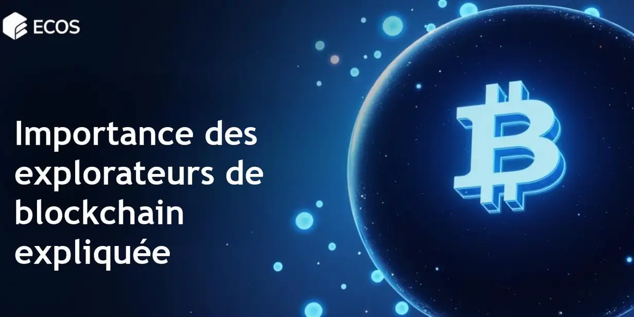 Explorateurs de blockchain : Qu’est-ce que c’est et comment ils fonctionnent ?