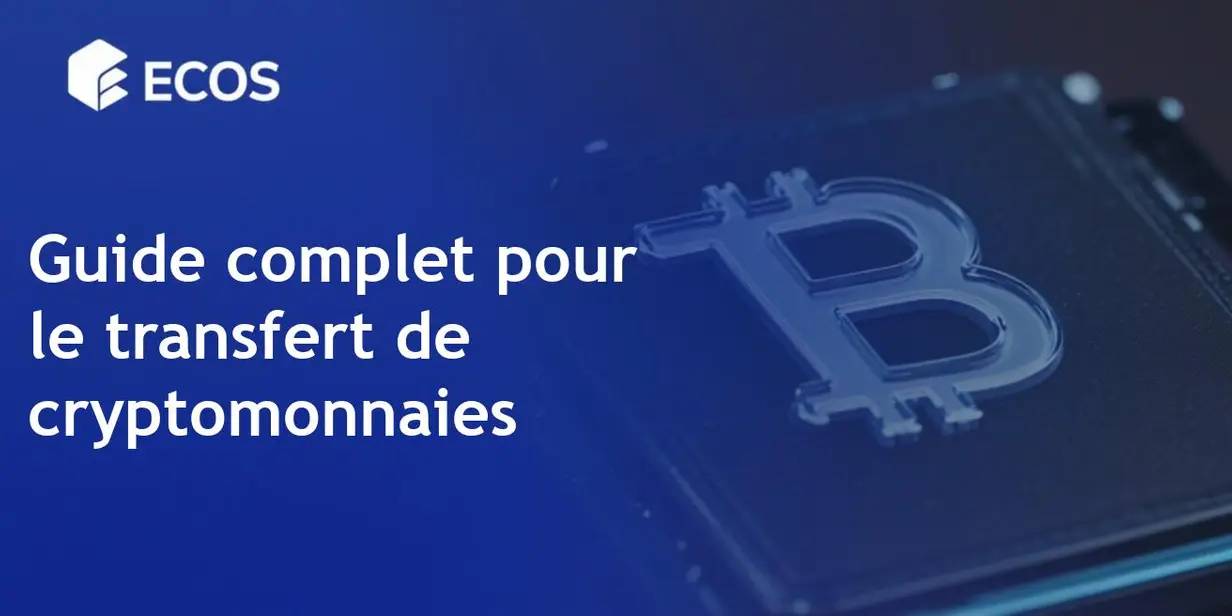 Transfert de cryptomonnaie: guide étape par étape pour les débutants