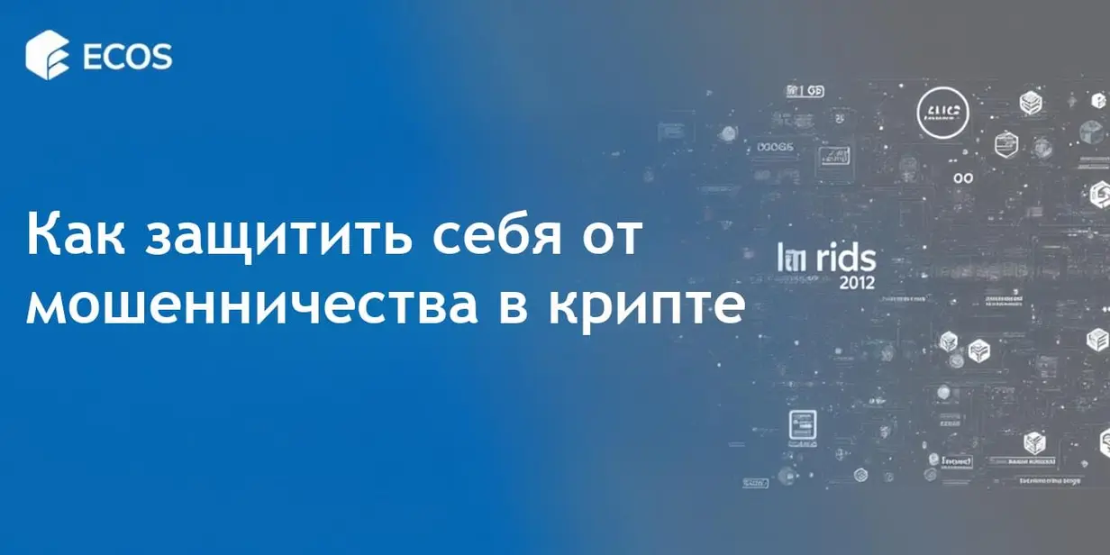 Риски rug pulls: руководство по проверке проектов и защите инвесторов