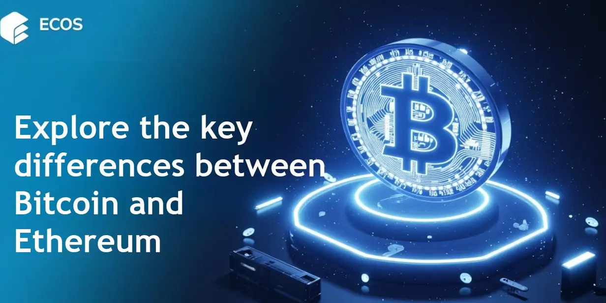Bitcoin vs Ethereum Differences: Which Cryptocurrency to Choose?