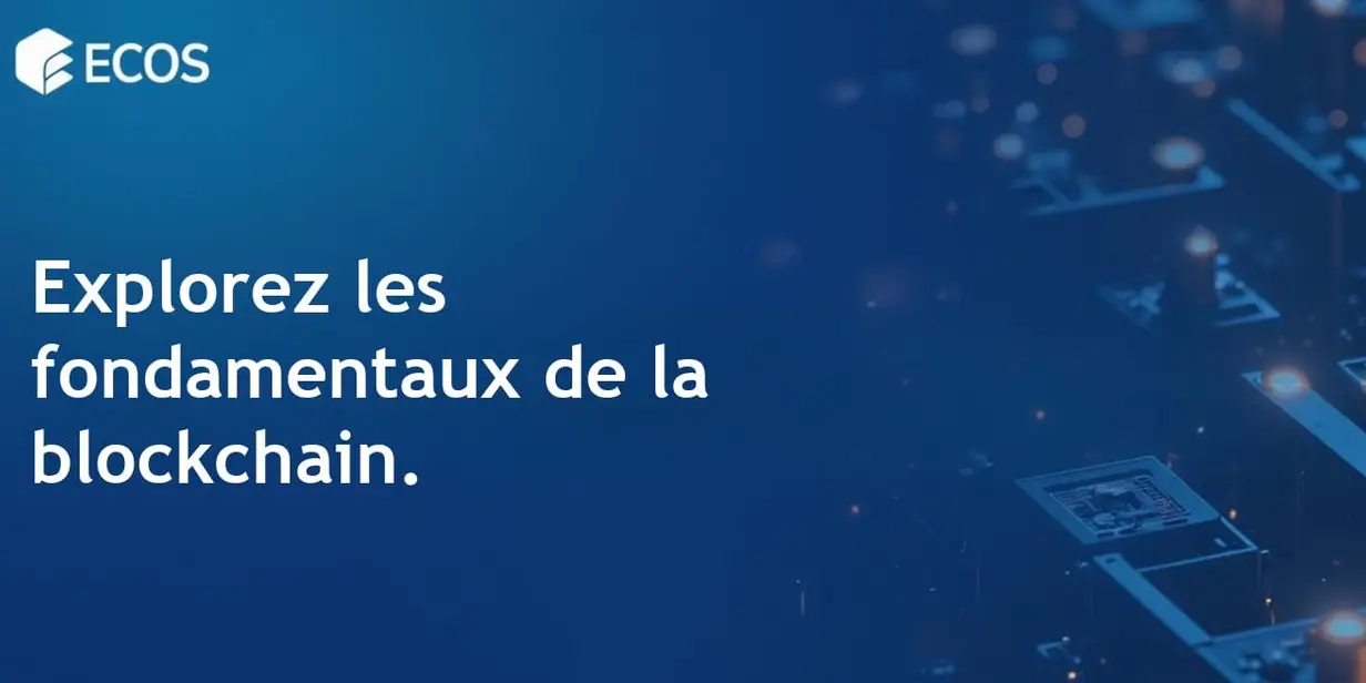 Bases de la technologie blockchain : Grand livre, nœuds et consensus expliqués