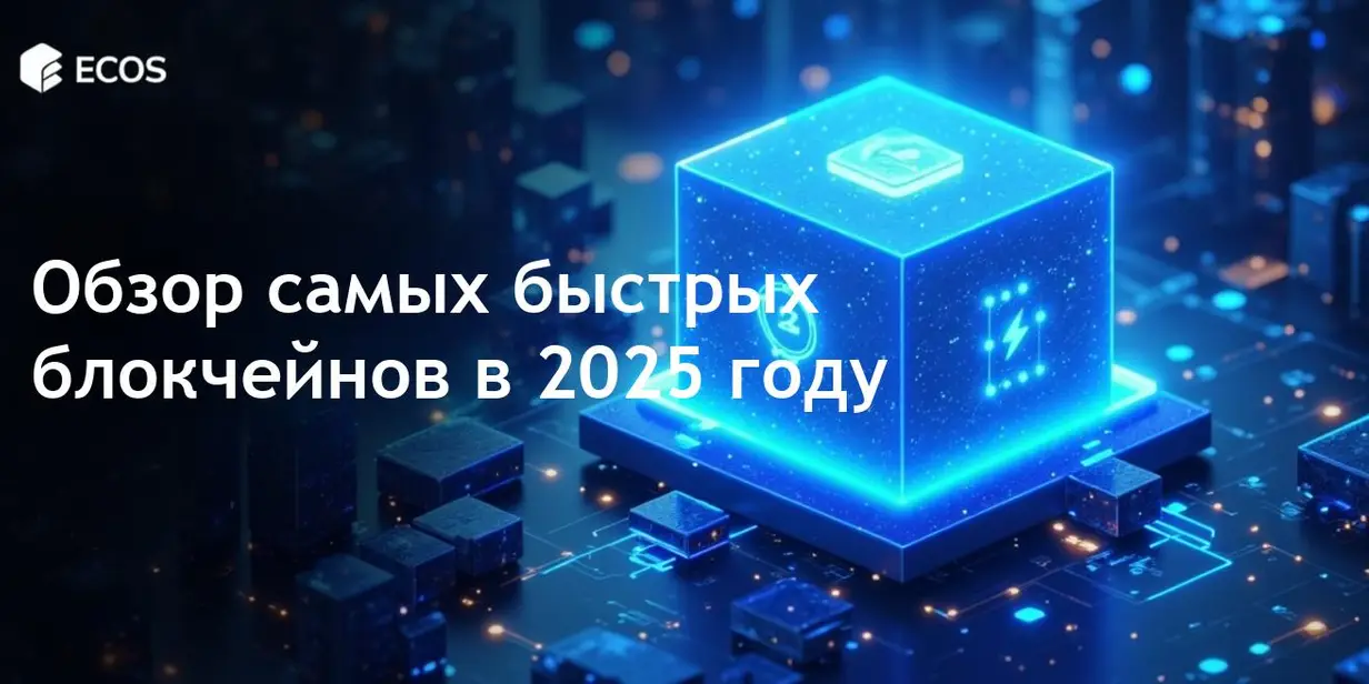 Самые быстрые блокчейны: полное руководство по высокоскоростным транзакционным сетям в 2025 году