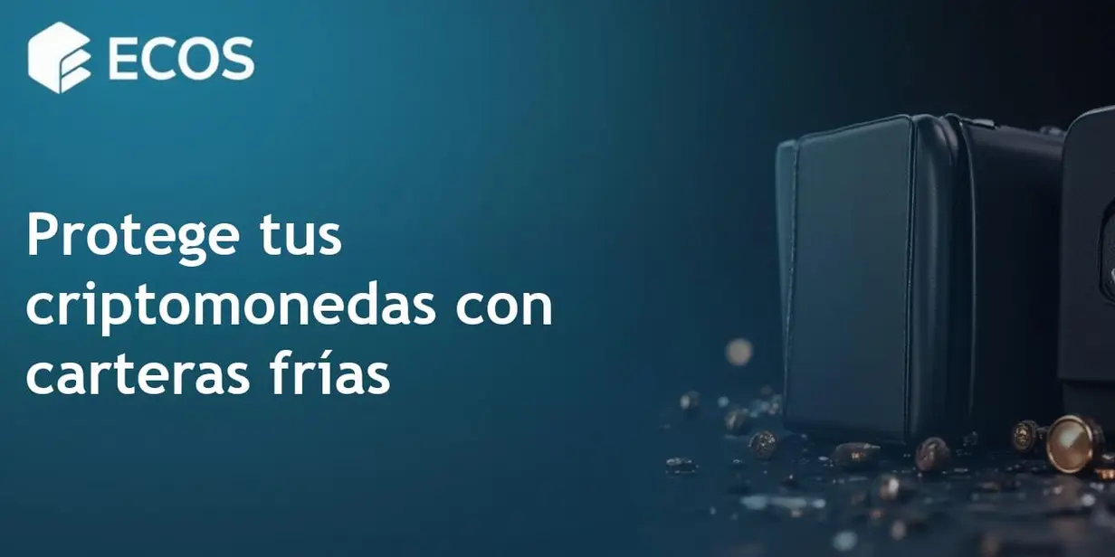 Mejores carteras frías: opciones recomendadas para holders a largo plazo en 2025