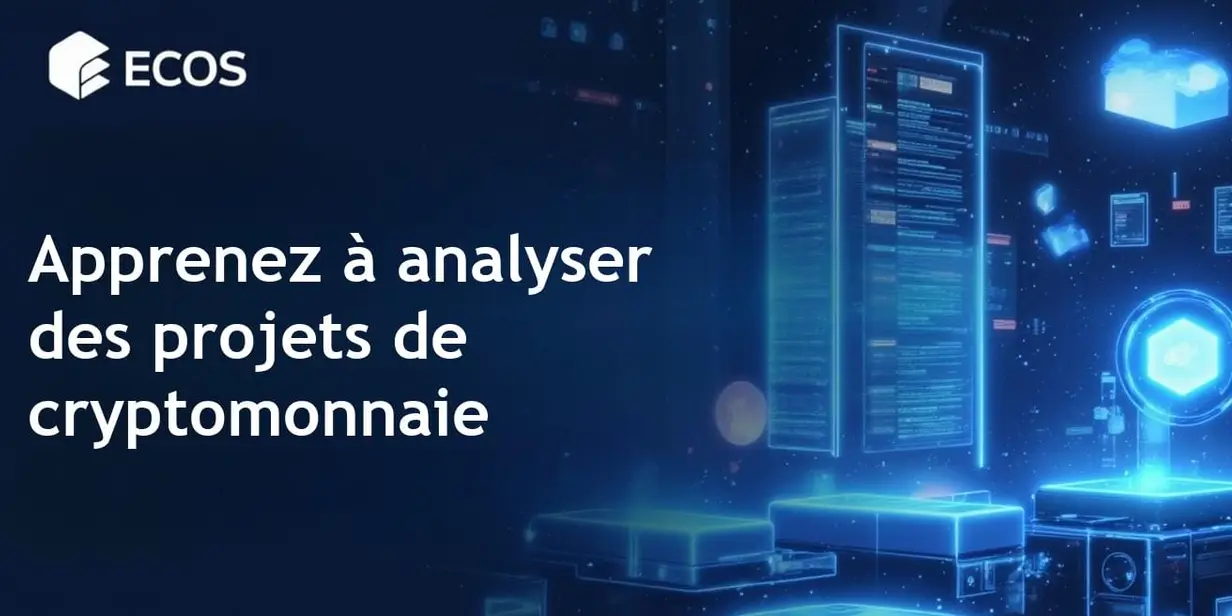Analyser un projet de cryptomonnaie : Guide étape par étape