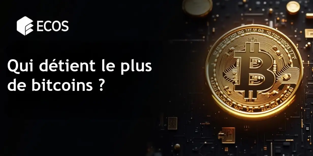 Détenteurs de bitcoins : Qui possède le plus ?