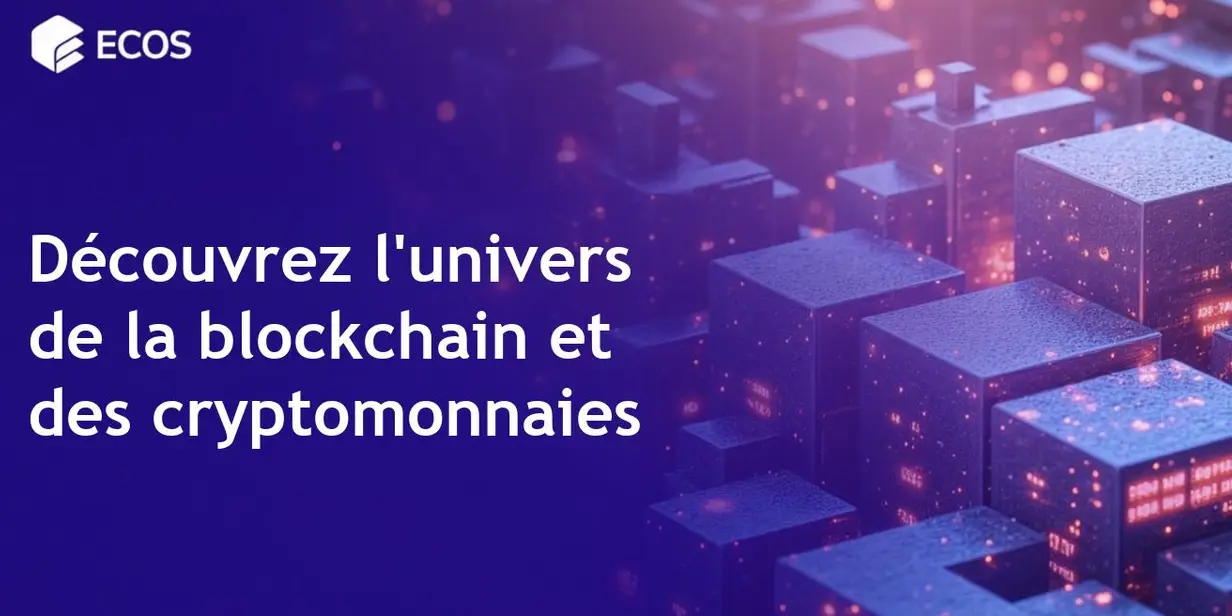 Technologie blockchain : types, caractéristiques et avenir des réseaux de cryptomonnaies