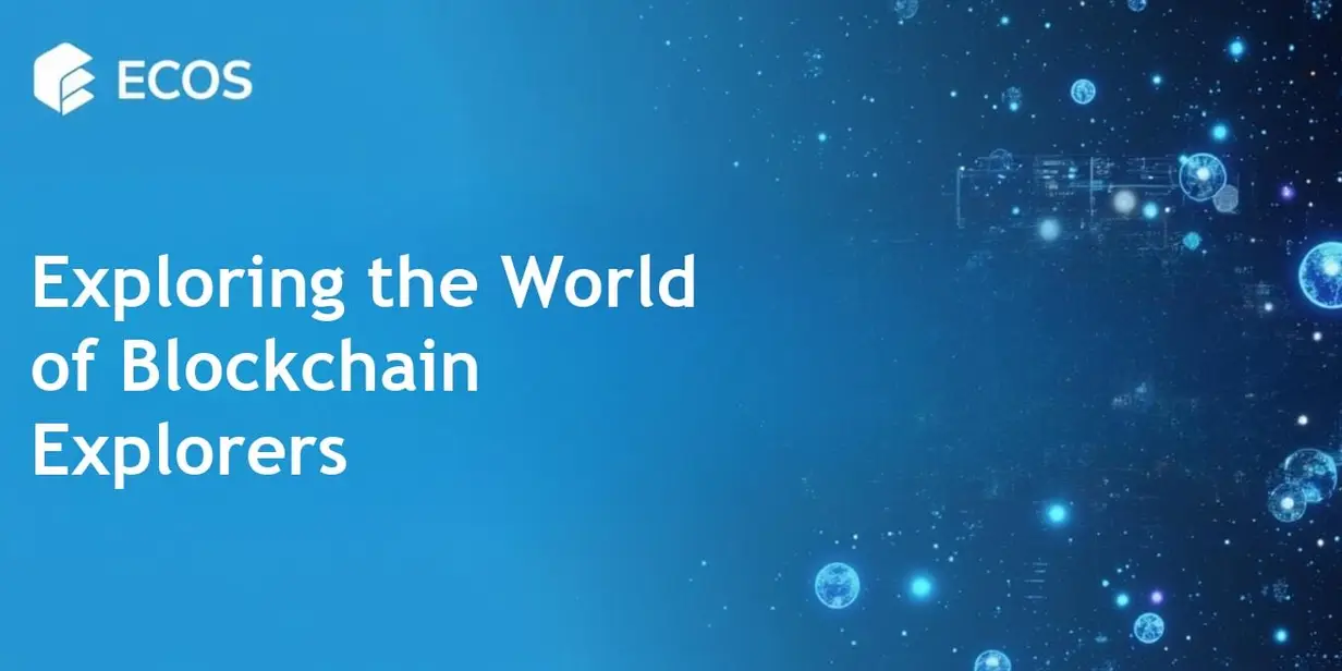 Blockchain Explorers: What They Are and How They Work