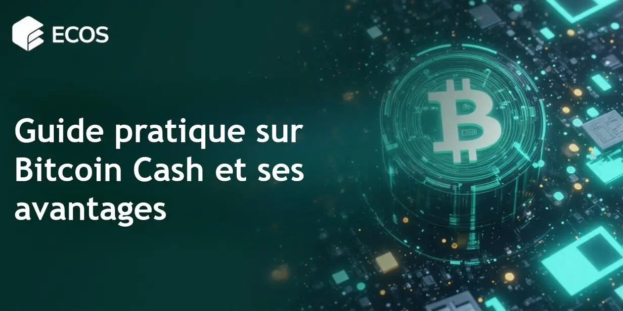 Bitcoin Cash : Guide complet sur son fonctionnement, ses avantages et ses perspectives d’avenir
