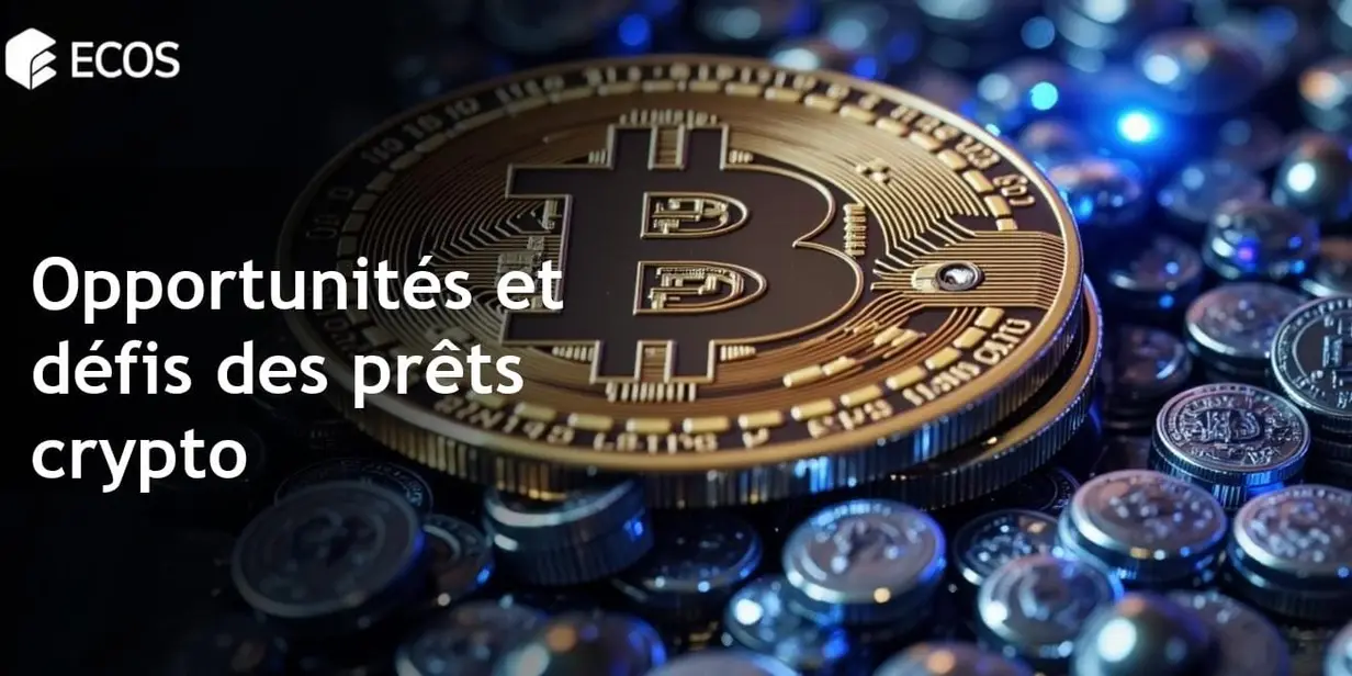 Emprunt contre des actifs numériques: opportunités et risques