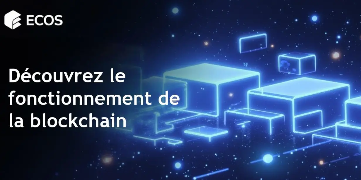 Fonctionnement de la blockchain : Guide du débutant