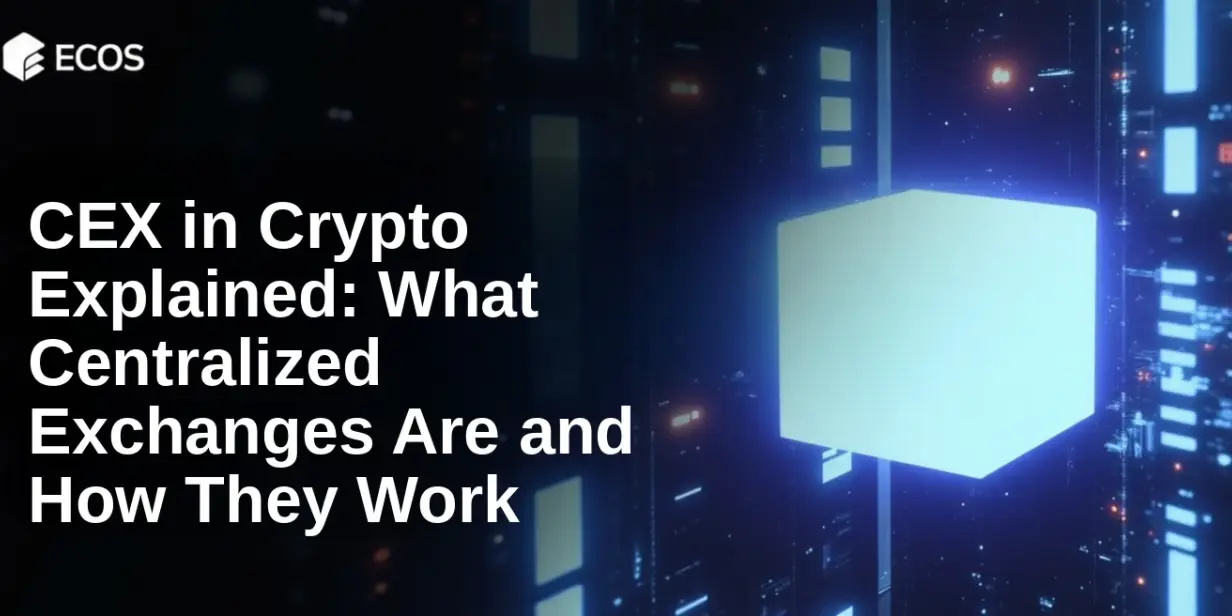 CEX in Crypto Explained: What Centralized Exchanges Are and How They Work